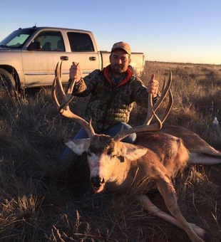 Colorado's Deer Hunt